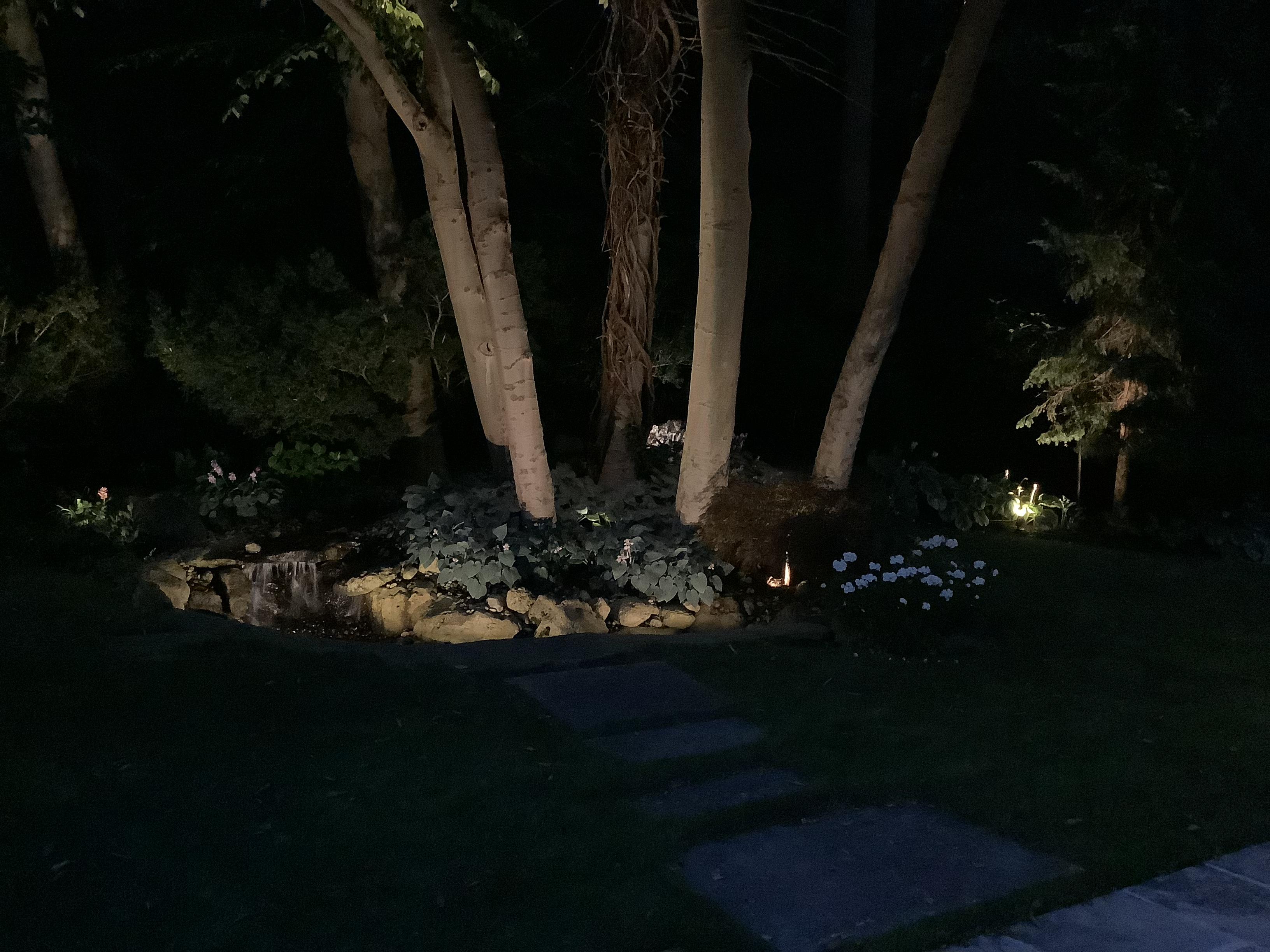 landscape lighting