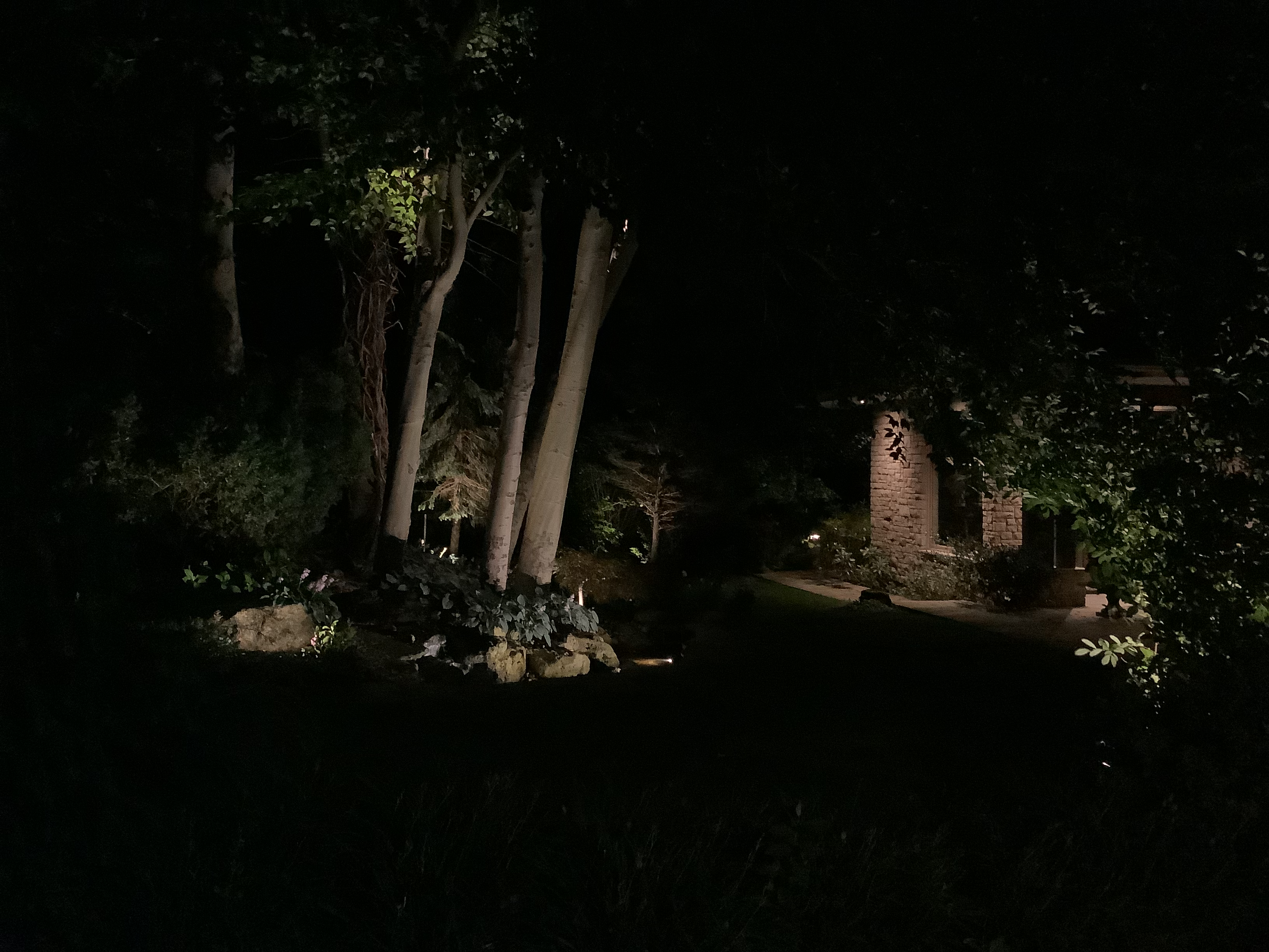 landscape lighting