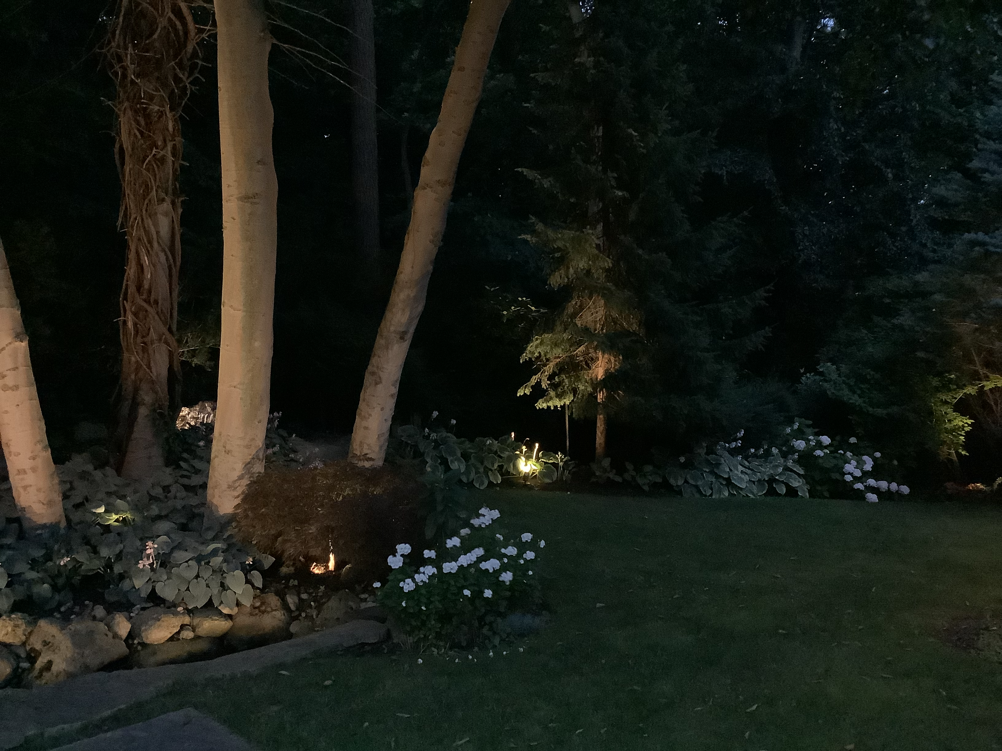 landscape lighting